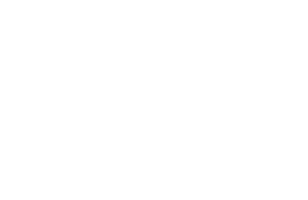 Snake Arrow